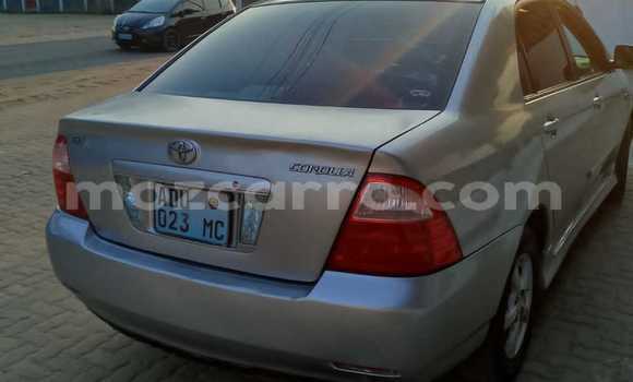 Tenga Tsaru Toyota Corolla Sirivha Mota in Maputo in Maputo Tenga Tsaru Toyota Corolla Sirivha Mota in Maputo in Maputo