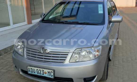 Tenga Tsaru Toyota Corolla Sirivha Mota in Maputo in Maputo Tenga Tsaru Toyota Corolla Sirivha Mota in Maputo in Maputo