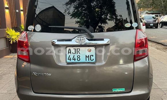 Tenga Tsaru Toyota Ractis Sirivha Mota in Maputo in Maputo Tenga Tsaru Toyota Ractis Sirivha Mota in Maputo in Maputo