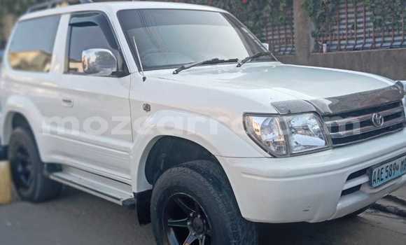 Tenga Tsaru Toyota Land Cruiser Prado Chena Mota in Maputo in Maputo Tenga Tsaru Toyota Land Cruiser Prado Chena Mota in Maputo in Maputo