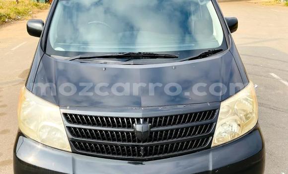 Comprar Usado Toyota Alphard Preto Carro em Maputo em Maputo
