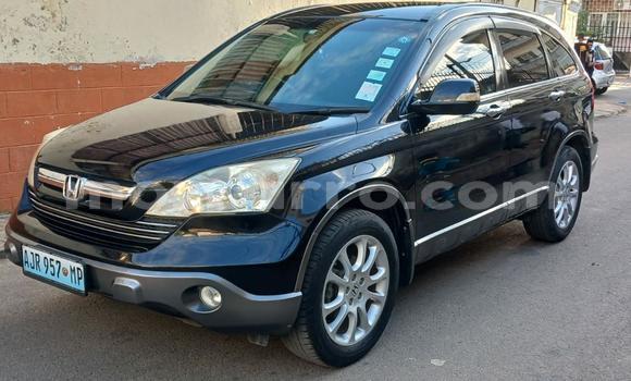 Nunua Mpya Honda CR-V Nyeusi Gari ndani ya Maputo nchini Maputo Nunua Mpya Honda CR-V Nyeusi Gari ndani ya Maputo nchini Maputo