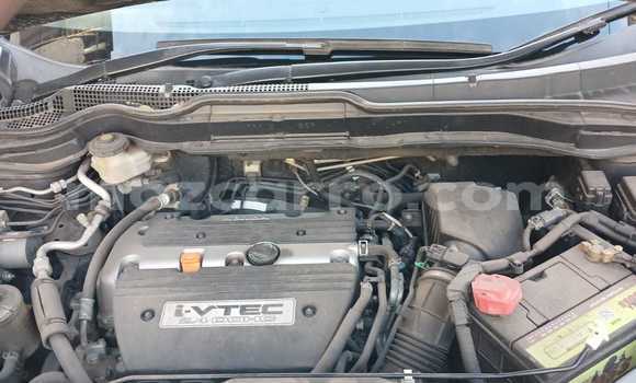 Nunua Mpya Honda CR-V Nyeusi Gari ndani ya Maputo nchini Maputo Nunua Mpya Honda CR-V Nyeusi Gari ndani ya Maputo nchini Maputo