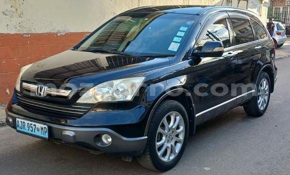 Nunua Mpya Honda CR-V Nyeusi Gari ndani ya Maputo nchini Maputo Nunua Mpya Honda CR-V Nyeusi Gari ndani ya Maputo nchini Maputo