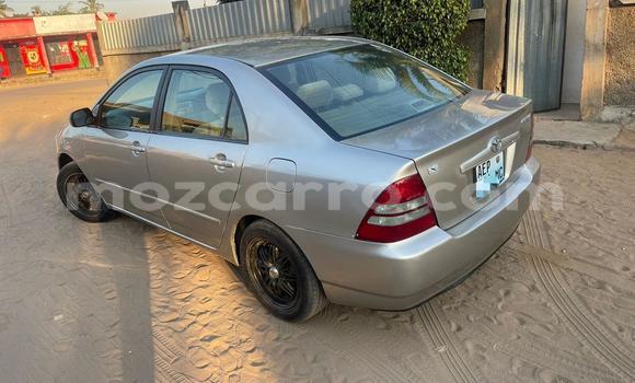Buy Used Toyota Mark X Silver Car in Maputo in Maputo Buy Used Toyota Mark X Silver Car in Maputo in Maputo