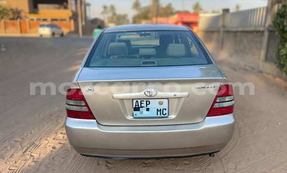 Buy Used Toyota Mark X Silver Car in Maputo in Maputo Buy Used Toyota Mark X Silver Car in Maputo in Maputo