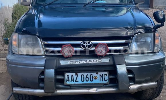 Tenga Tsaru Toyota Land Cruiser Prado Girinhi Mota in Maputo in Maputo Tenga Tsaru Toyota Land Cruiser Prado Girinhi Mota in Maputo in Maputo
