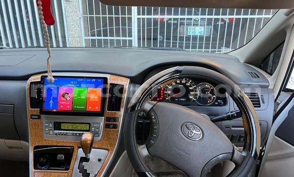 Tenga Tsaru Toyota Alphard Chena Mota in Maputo in Maputo Tenga Tsaru Toyota Alphard Chena Mota in Maputo in Maputo