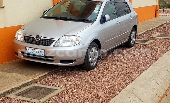 Nunua Ilio tumika Toyota Runx Fedha Gari ndani ya Maputo nchini Maputo