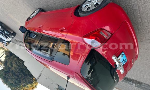 Nunua Ilio tumika Toyota Ractis Nyekundu Gari ndani ya Maputo nchini Maputo Nunua Ilio tumika Toyota Ractis Nyekundu Gari ndani ya Maputo nchini Maputo