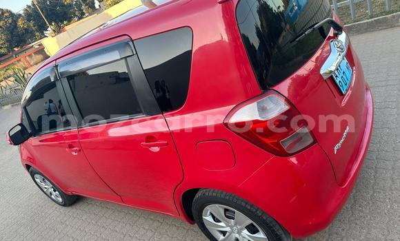 Nunua Ilio tumika Toyota Ractis Nyekundu Gari ndani ya Maputo nchini Maputo Nunua Ilio tumika Toyota Ractis Nyekundu Gari ndani ya Maputo nchini Maputo