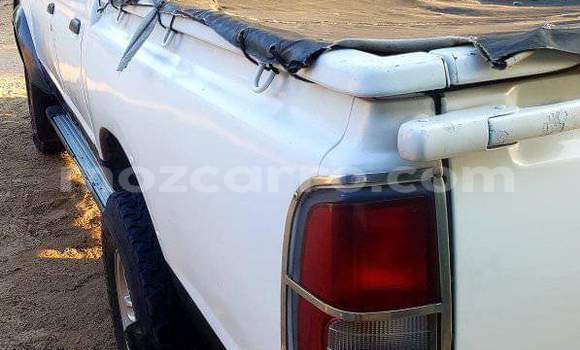 Tenga Tsaru Nissan Hardbody Chena Mota in Maputo in Maputo Tenga Tsaru Nissan Hardbody Chena Mota in Maputo in Maputo