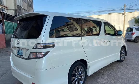 Tenga Tsaru Toyota Vellfire Chena Mota in Maputo in Maputo