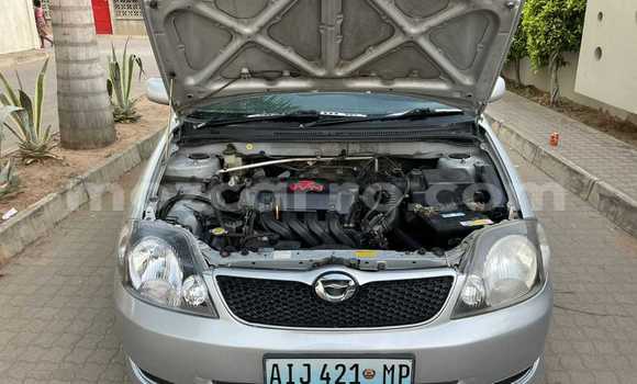 Comprar Usado Toyota Runx Prata Carro em Maputo em Maputo Comprar Usado Toyota Runx Prata Carro em Maputo em Maputo