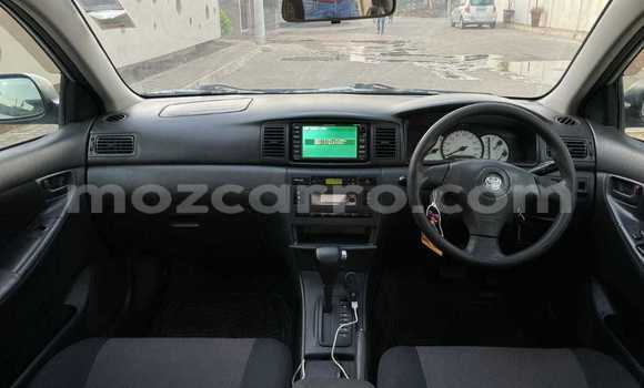 Comprar Usado Toyota Runx Prata Carro em Maputo em Maputo Comprar Usado Toyota Runx Prata Carro em Maputo em Maputo