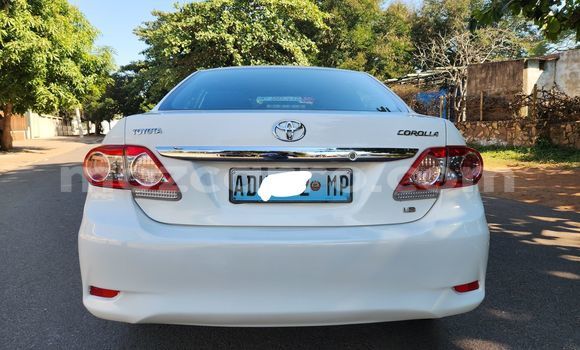 Comprar Usado Toyota Corolla Branco Carro em Maputo em Maputo Comprar Usado Toyota Corolla Branco Carro em Maputo em Maputo