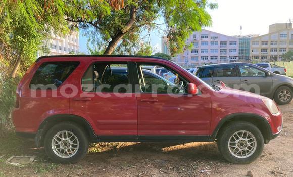 Nunua Ilio tumika Honda CR-V Nyekundu Gari ndani ya Maputo nchini Maputo Nunua Ilio tumika Honda CR-V Nyekundu Gari ndani ya Maputo nchini Maputo