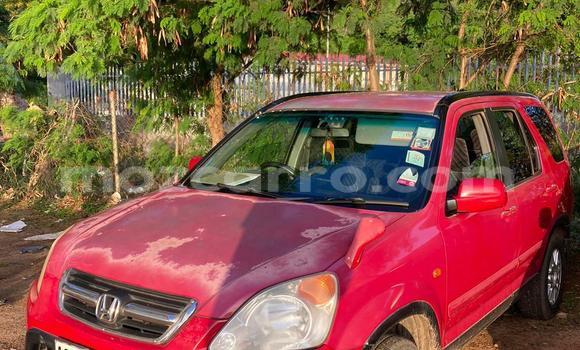 Nunua Ilio tumika Honda CR-V Nyekundu Gari ndani ya Maputo nchini Maputo Nunua Ilio tumika Honda CR-V Nyekundu Gari ndani ya Maputo nchini Maputo