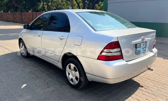 Tenga Tsaru Toyota Corolla Zvimwe Mota in Maputo in Maputo Tenga Tsaru Toyota Corolla Zvimwe Mota in Maputo in Maputo
