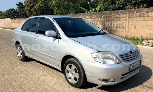 Tenga Tsaru Toyota Corolla Zvimwe Mota in Maputo in Maputo Tenga Tsaru Toyota Corolla Zvimwe Mota in Maputo in Maputo