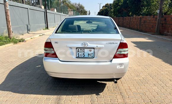 Tenga Tsaru Toyota Corolla Zvimwe Mota in Maputo in Maputo Tenga Tsaru Toyota Corolla Zvimwe Mota in Maputo in Maputo