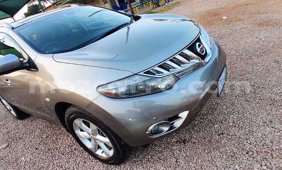 Buy Used Nissan Murano Other Car in Maputo in Maputo Buy Used Nissan Murano Other Car in Maputo in Maputo