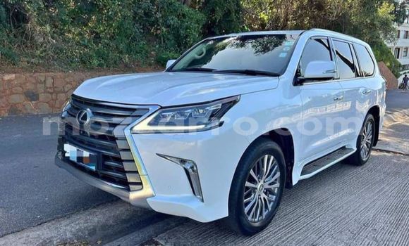 Comprar Novo Lexus LX 570 Branco Carro em Maputo em Maputo