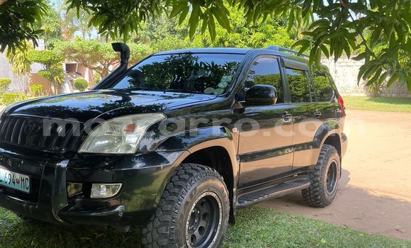 Tenga Tsaru Toyota Land Cruiser Prado Nhema Mota in Maputo in Maputo Tenga Tsaru Toyota Land Cruiser Prado Nhema Mota in Maputo in Maputo