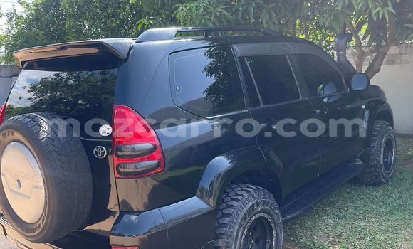 Tenga Tsaru Toyota Land Cruiser Prado Nhema Mota in Maputo in Maputo Tenga Tsaru Toyota Land Cruiser Prado Nhema Mota in Maputo in Maputo