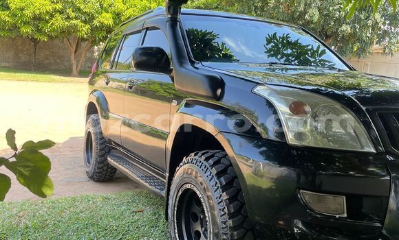 Tenga Tsaru Toyota Land Cruiser Prado Nhema Mota in Maputo in Maputo Tenga Tsaru Toyota Land Cruiser Prado Nhema Mota in Maputo in Maputo