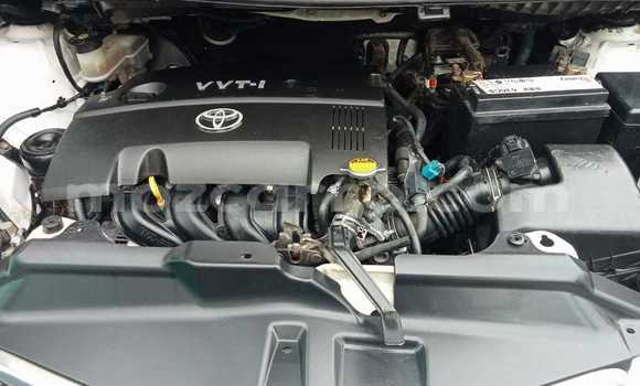 Comprar Usado Toyota Ractis Branco Carro em Maputo em Maputo Comprar Usado Toyota Ractis Branco Carro em Maputo em Maputo