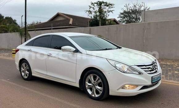 Buy Used Hyundai Sonata White Car in Maputo in Maputo