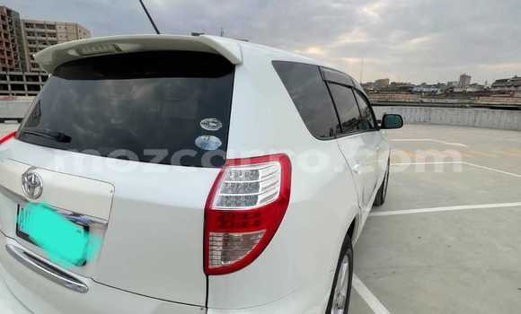 Tenga Tsaru Toyota Vanguard Chena Mota in Maputo in Maputo Tenga Tsaru Toyota Vanguard Chena Mota in Maputo in Maputo