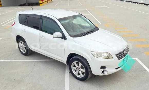 Tenga Tsaru Toyota Vanguard Chena Mota in Maputo in Maputo Tenga Tsaru Toyota Vanguard Chena Mota in Maputo in Maputo