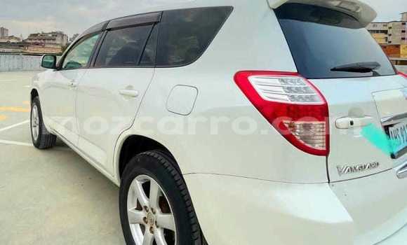 Tenga Tsaru Toyota Vanguard Chena Mota in Maputo in Maputo Tenga Tsaru Toyota Vanguard Chena Mota in Maputo in Maputo