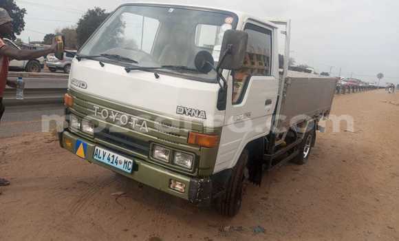 Tenga Tsaru Toyota Dyna Chena Mota in Maputo in Maputo