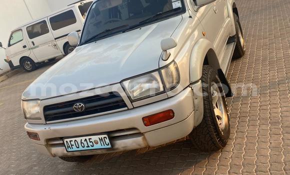 Nunua Ilio tumika Toyota Hilux Surf Nyingine Gari ndani ya Maputo nchini Maputo Nunua Ilio tumika Toyota Hilux Surf Nyingine Gari ndani ya Maputo nchini Maputo