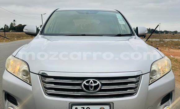 Tenga Tsaru Toyota Vanguard Sirivha Mota in Maputo in Maputo