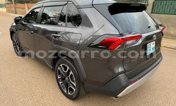 Buy Used Toyota RAV4 Other Car in Maputo in Maputo Buy Used Toyota RAV4 Other Car in Maputo in Maputo