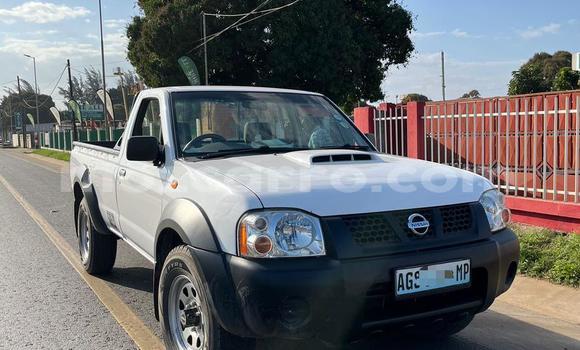 Buy Used Nissan Hardbody White Car in Maputo in Maputo
