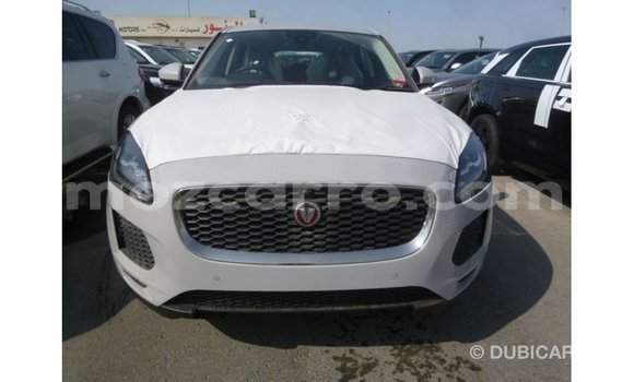 Buy Import Jaguar E-Pace White Car in Import - Dubai in Cabo Delgado Buy Import Jaguar E-Pace White Car in Import - Dubai in Cabo Delgado