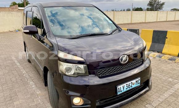 Nunua Ilio tumika Toyota Voxy Nyingine Gari ndani ya Maputo nchini Maputo