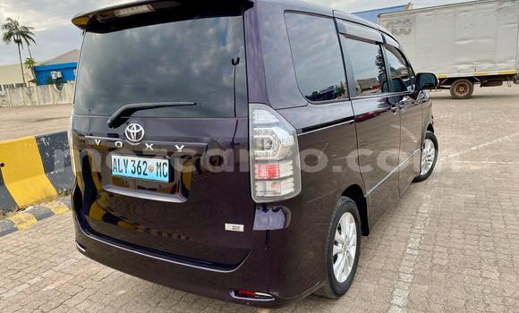 Buy Used Toyota Voxy Other Car in Maputo in Maputo Buy Used Toyota Voxy Other Car in Maputo in Maputo