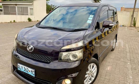 Buy Used Toyota Voxy Other Car in Maputo in Maputo Buy Used Toyota Voxy Other Car in Maputo in Maputo