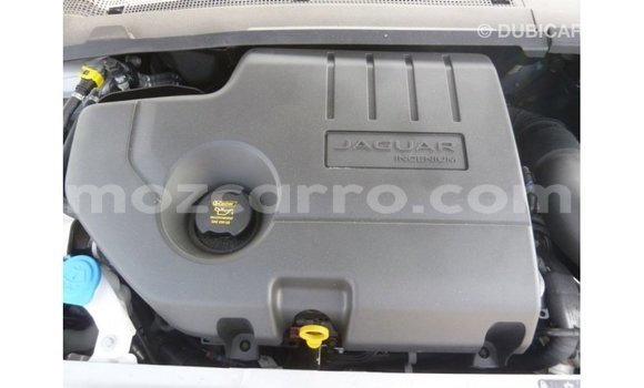 Buy Import Jaguar E-Pace White Car in Import - Dubai in Cabo Delgado Buy Import Jaguar E-Pace White Car in Import - Dubai in Cabo Delgado