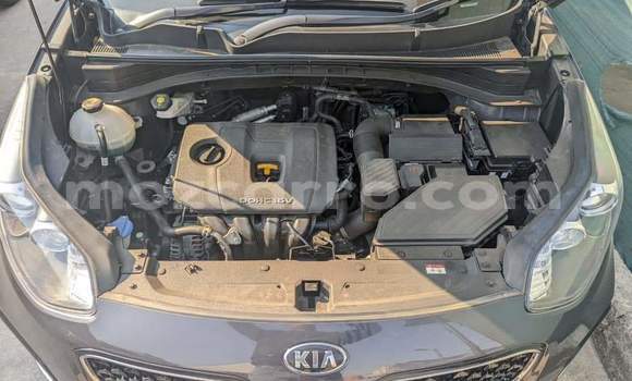 Buy Used Kia Sportage Other Car in Maputo in Maputo Buy Used Kia Sportage Other Car in Maputo in Maputo
