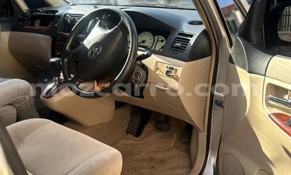 Buy Used Toyota Spacio Brown Car in Maputo in Maputo Buy Used Toyota Spacio Brown Car in Maputo in Maputo