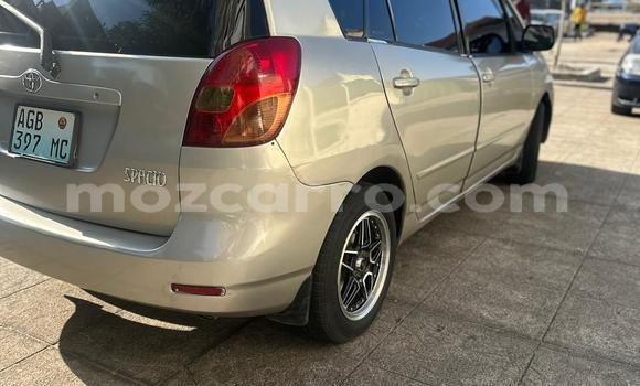 Buy Used Toyota Spacio Brown Car in Maputo in Maputo Buy Used Toyota Spacio Brown Car in Maputo in Maputo