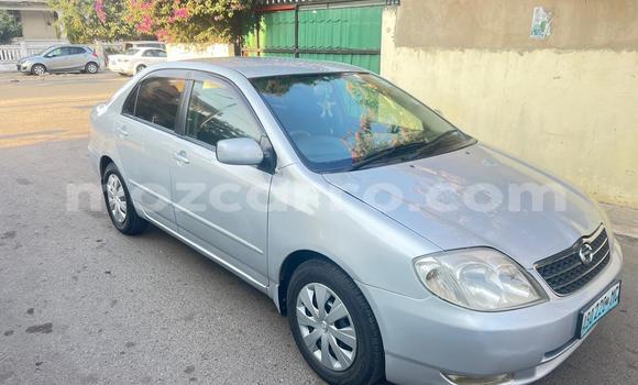 Buy Used Toyota Corolla Silver Car in Maputo in Maputo Buy Used Toyota Corolla Silver Car in Maputo in Maputo