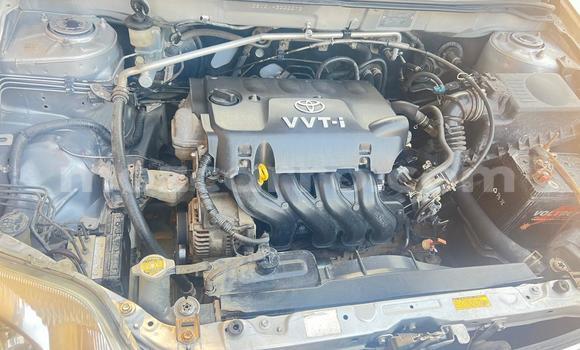 Buy Used Toyota Corolla Silver Car in Maputo in Maputo Buy Used Toyota Corolla Silver Car in Maputo in Maputo